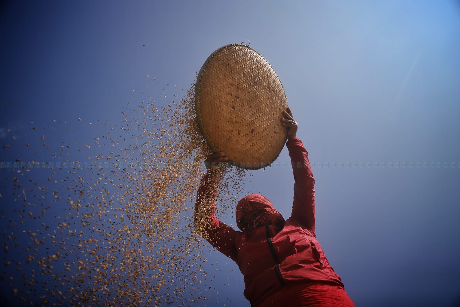 फाइल तस्बिर।